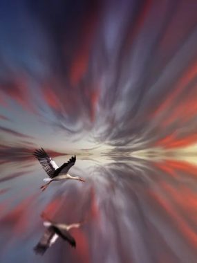 期货交易最终目的是什么？（发人深省，值得收藏）