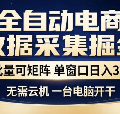 全自动电商数据集掘金，批量可矩阵，单窗口日入30+，无需云机，一台电脑开干【揭秘】