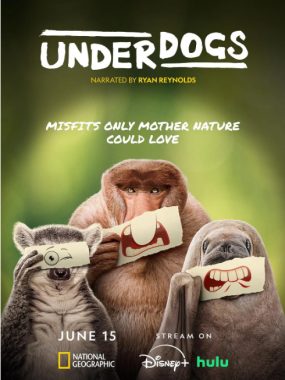 [夸克网盘]美国纪录片《废柴英雄》（2025）豆瓣8.9