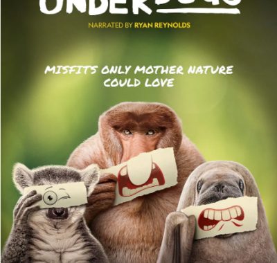 [夸克网盘]美国纪录片《废柴英雄》（2025）豆瓣8.9