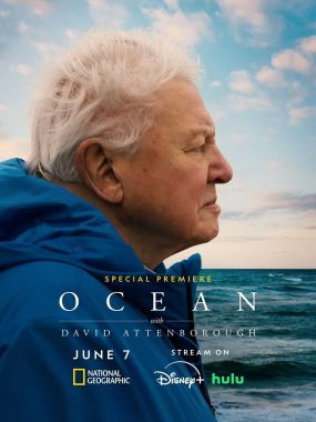 [英纪录片]《大卫・爱登堡：海洋》(2025) 夸克网盘高清资源下载