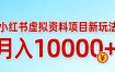 小红书虚拟资料项目最新玩法，月入10000＋