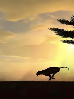 一个期货股票交易高手的肺腑之言：不要浪费一场好危机