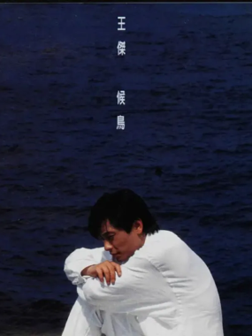 王杰《候鸟》FLAC整轨：1994飞行情歌绝版，HIFI试音无损音质
