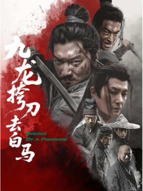 [夸克网盘]国内电影《九龙挎刀去白马》（2025）剧情 / 武侠