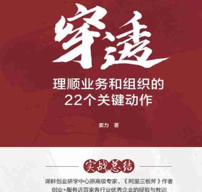 《穿透：理顺业务和组织的22个关键动作》（azw3+epub+mobi+pdf)