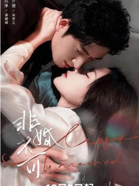 [夸克网盘][国剧]短剧《非婚不可》（2025）剧情 / 爱情 / 短片