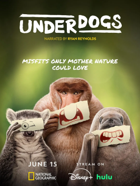 [美纪录片]《废柴英雄》(2025)(5集全)高清片源下载【夸克网盘资源1080P】