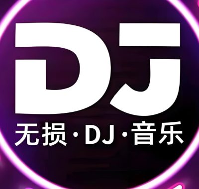 2025年11月抖音车载热门DJ歌曲无损合集