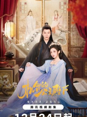 机智的公主殿下（2025）4K臻彩MAX版24集全 韩沐言杨廷东古装爱情网盘下载