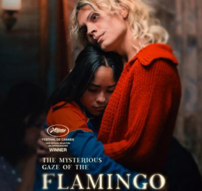 [夸克网盘]法国电影《弗拉明戈的神秘眼神》（2025）剧情 / 同性 豆瓣7.5