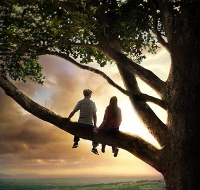 怦然心动 Flipped (2010) 1080p REMUX 国粤英音轨特效字幕版下载