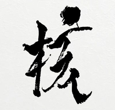 XG THE CORE 核 2026 FLAC 96kHz/24bit Hi-Res试音碟下载