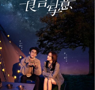 [夸克网盘][国剧]《良言写意》（2021）剧情 / 爱情