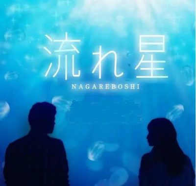 [夸克网盘][日剧]《流星》（2010）剧情 / 爱情 豆瓣8.0