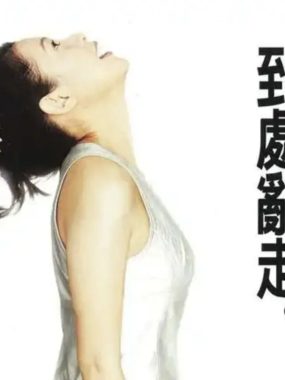 刘若英1996《到处乱走》Flac分轨+同步LRC歌词，HIFI试音级还原青春脚步声