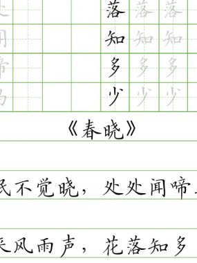 各类字帖资源【80.9MB】古诗成语作文楷书独体字结构横线格全收录