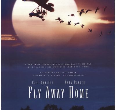 [剧情电影]《伴你高飞》(1996) 夸克网盘1080P高清资源下载