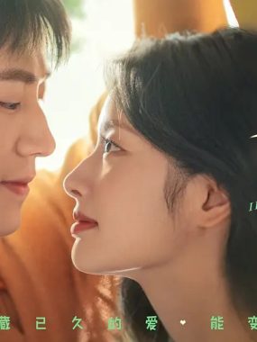 【4K电影】不要走散好不好 (2023) 大陆/爱情 4K-2160P国语中字