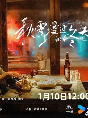 秋雪漫过的冬天4K：张子枫赵又廷互相治愈版《我的大叔》