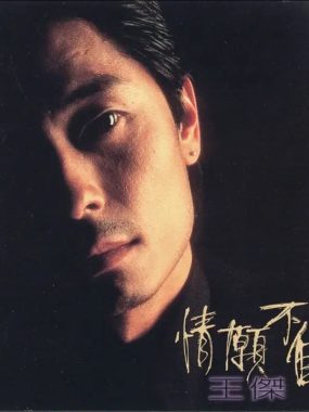 王杰《情愿不自由》1995 Flac无损整轨：飞碟绝唱，加拿大混音发烧级试音天碟