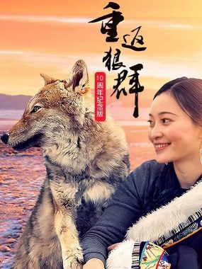《重返狼群10周年特别纪念版2021》4K高码率全季：若尔盖草原的人狼传奇
