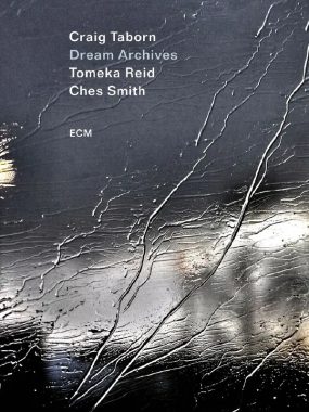 Craig Taborn Dream Archives FLAC 24-96 Hi-Res 试音天碟夸克直链