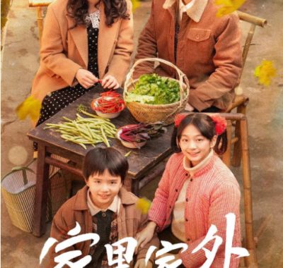 [夸克网盘][国剧]短剧《家里家外》（2025）豆瓣7.9