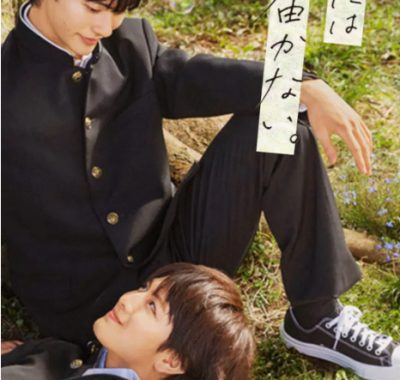 [夸克网盘][日剧]《无法传达给你》（2023）剧情 / 爱情 / 同性 豆瓣8.0