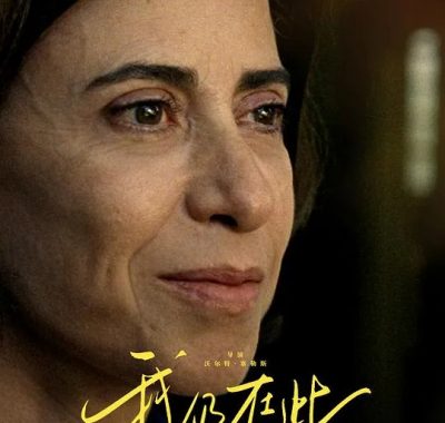 我仍在此 Ainda estou aqui 2024 4K杜比视界版下载 八音轨+内嵌中字