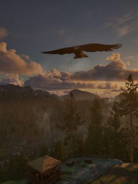 护林员之路：国家公园模拟器/Ranger’s Path: National Park Simulator