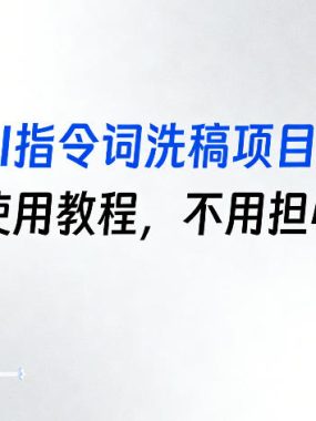 原创AI指令词洗稿项目教学，含详细使用教程，不用担心不会用