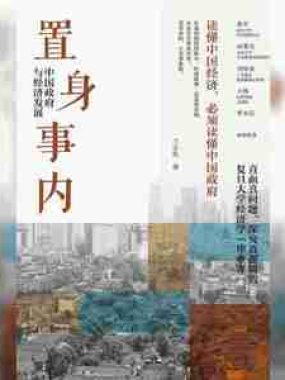 【电子书】置身事内 全格式