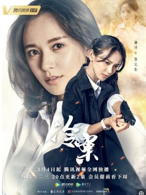 【夸克网盘】[国剧]《冷案》（2019）悬疑 / 犯罪