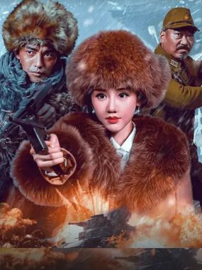 [夸克网盘]国内电影《血战到底》（2025）动作