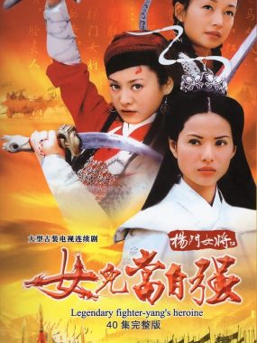 【高分古装剧】杨门女将 (2001)全40集【李若彤/李绮虹/郑佩佩】【豆瓣8.1分】