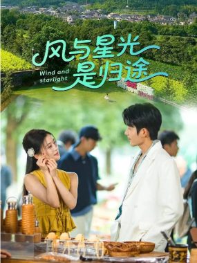 [夸克网盘][国剧]短剧《风与星光是归途》（2025）剧情 / 爱情 / 短片