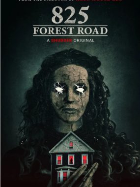 [夸克网盘]美国电影《林荫路825号》（2025）恐怖