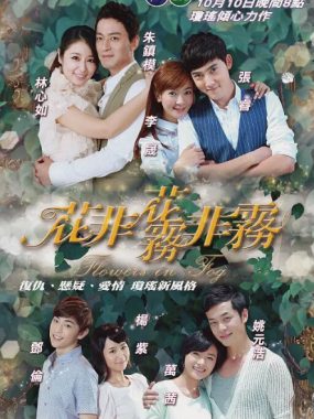 [夸克网盘][国剧]《花非花雾非雾》（2013）剧情 / 爱情 豆瓣5.7