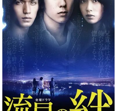[夸克网盘][日剧]《流星之绊》（2008）剧情 豆瓣8.4