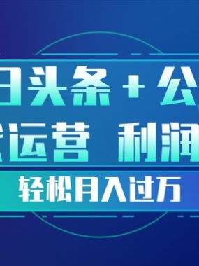 头条加公众号 托管代运营 利润分成模式 轻松月入过万