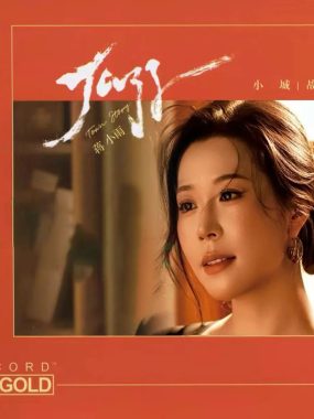 蒋小雨2026《小城故事》24K黄金直刻WAV直下，邓丽君经典一次收齐