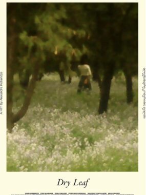 [夸克网盘]德国电影《落叶球》（2025）剧情 豆瓣7.3