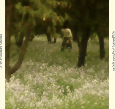 [夸克网盘]德国电影《落叶球》（2025）剧情 豆瓣7.3