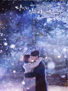 [夸克网盘][韩剧]《当你沉睡时》（2017）爱情 / 奇幻 豆瓣8.4