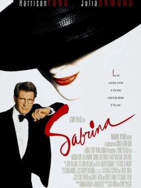 [夸克网盘]德国电影《新龙凤配》（1995）剧情 / 喜剧 / 爱情 豆瓣7.4