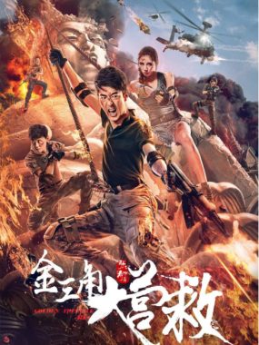 [夸克网盘]国内电影《金三角大营救》（2018）剧情 / 动作 / 悬疑