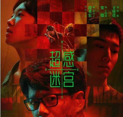 [夸克网盘][国剧]《超感迷宫》（2025）悬疑 / 犯罪