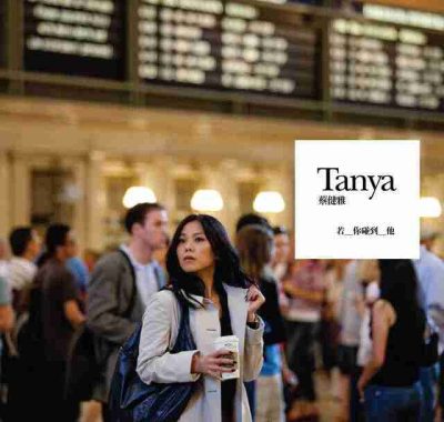 蔡健雅 – 若你碰到他 FLAC